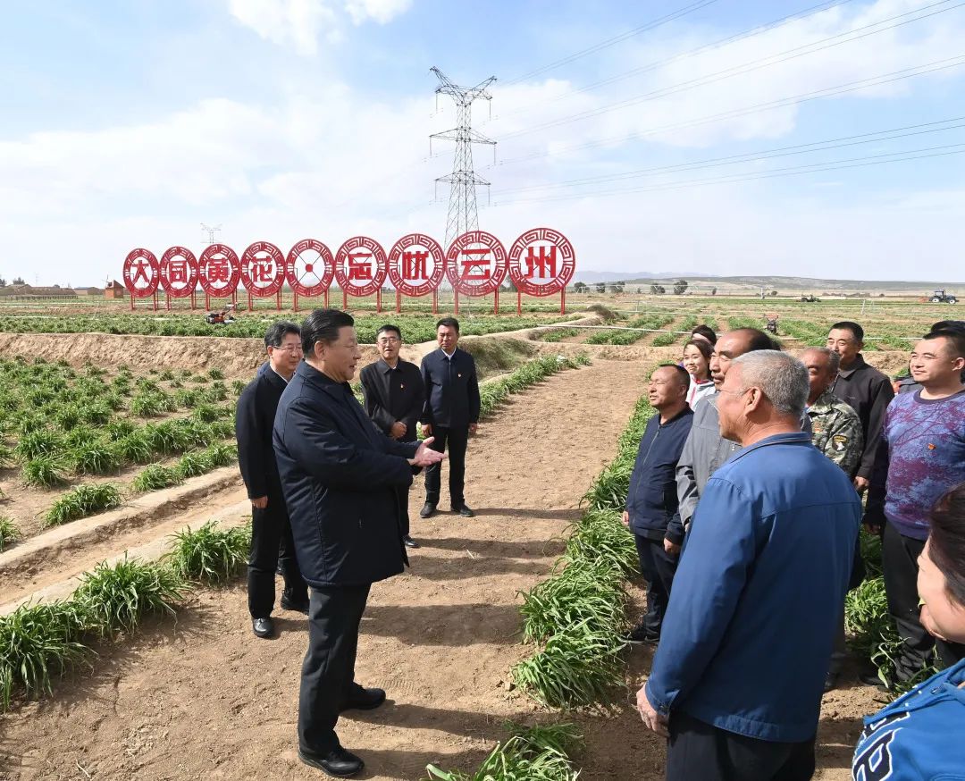 2020年5月11日，習近平考察山西大同市云州區(qū)有機黃花標準化種植基地。新華社記者 李學仁 攝