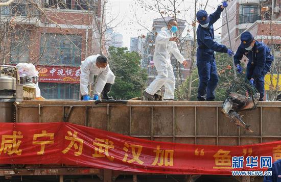 3月13日，一批運(yùn)到湖北省武漢市硚口區(qū)華生漢口城市廣場(chǎng)社區(qū)的活魚在卸貨。當(dāng)日，首批100噸調(diào)配自咸寧市的活魚運(yùn)抵武漢市硚口區(qū)11個(gè)街道下轄社區(qū)。 新華社記者 程敏 攝